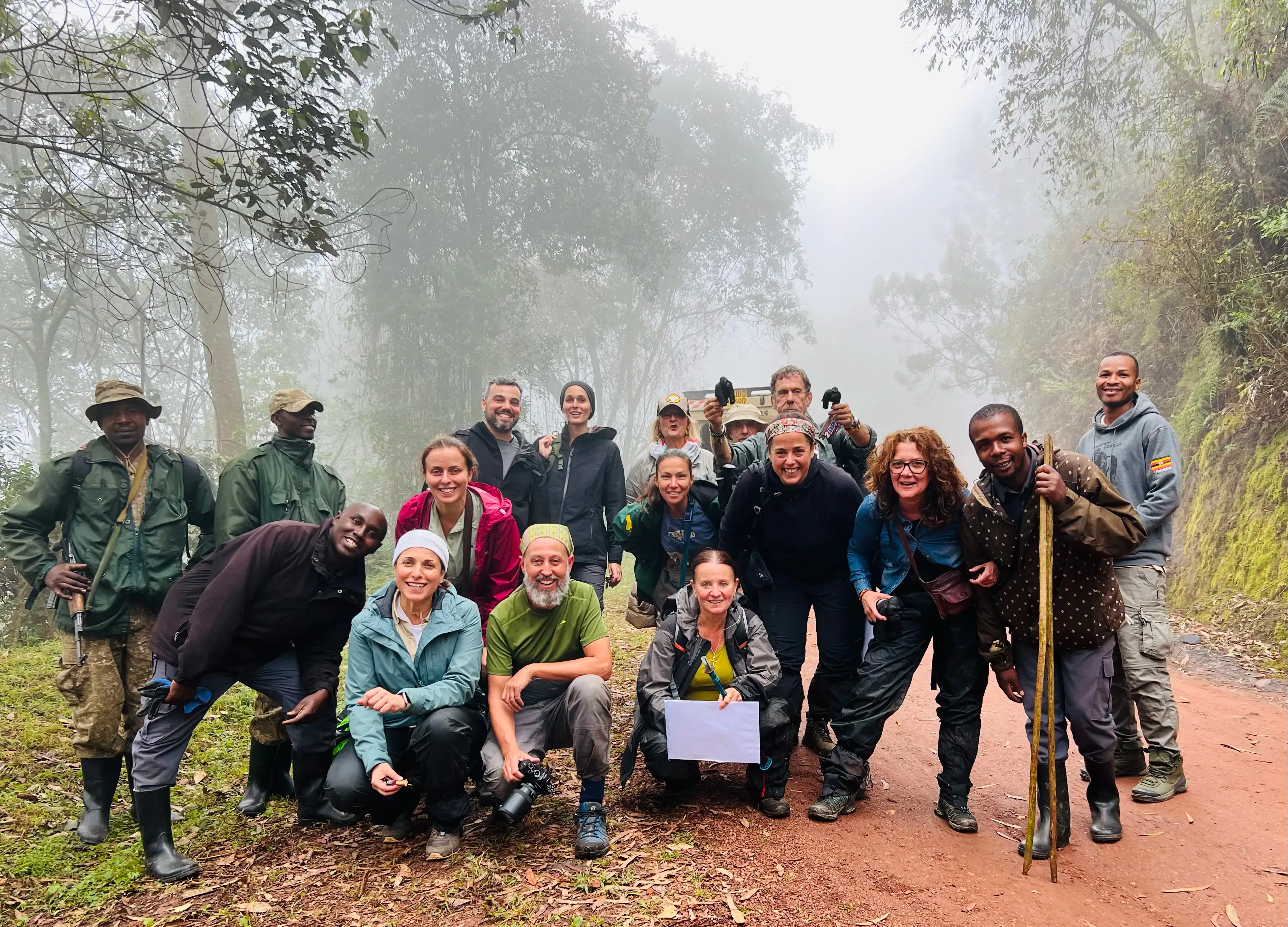 Chimpanzee Tracking in Kibale