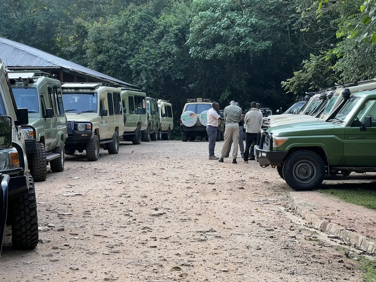 Gorilla Trekking in Bwindi
