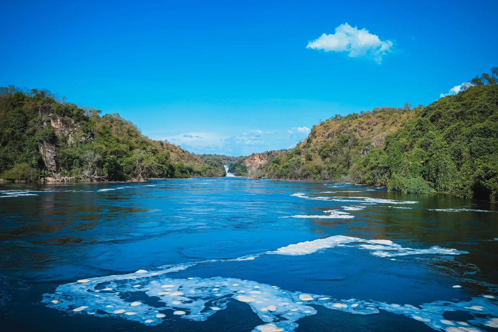 wildlife safaris in Uganda