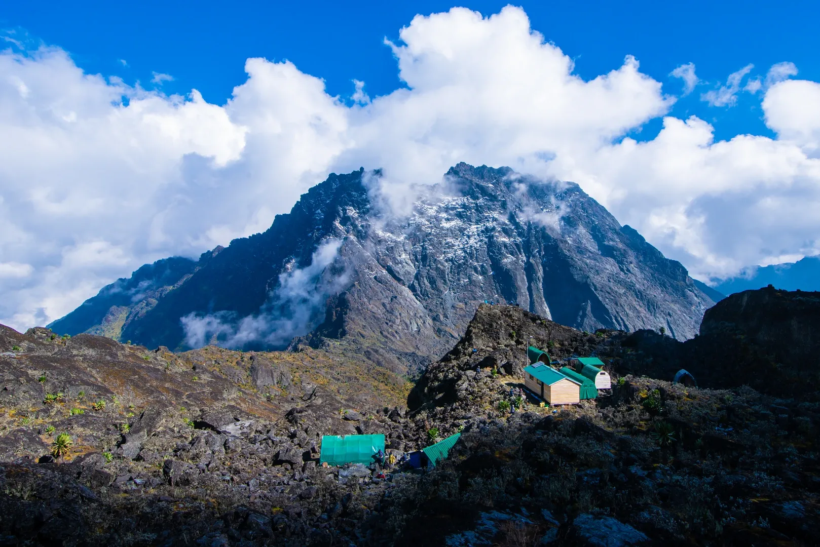 hiking in rwenori mountains in uganda